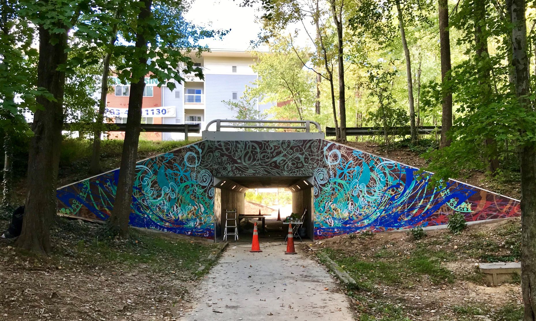 MAIN PHOTO--Colts Neck Underpass-6.jpg